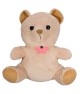 Xtreme Life HD 4K Hidden Teddy Bear Camera DVR