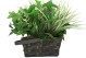 Xtreme Life HD 4K House Plant Hidden Covert Camera DVR