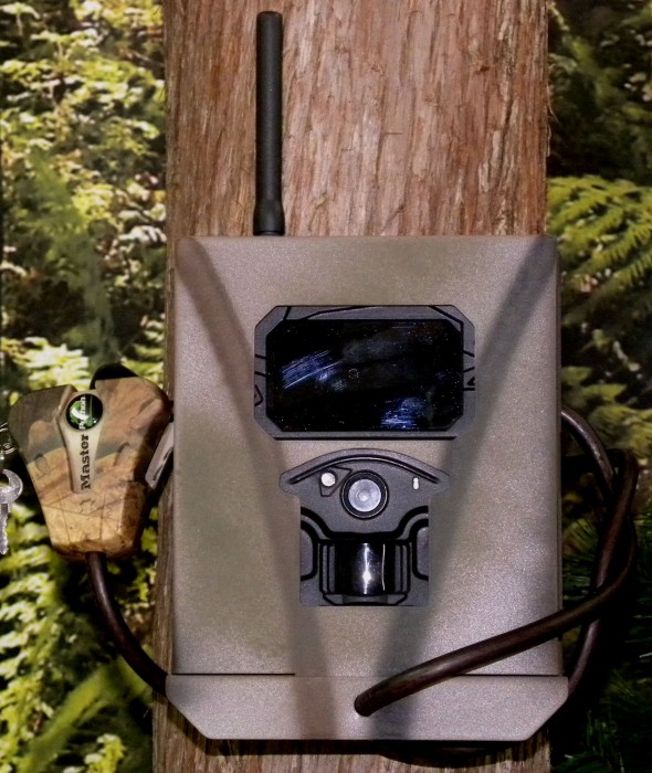 using trail cameras for security