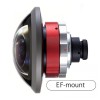 Entaniya HAL 250 Degrees 4.3 EF Mount Fish Eye Lens
